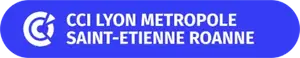 CCI Lyon Métropole